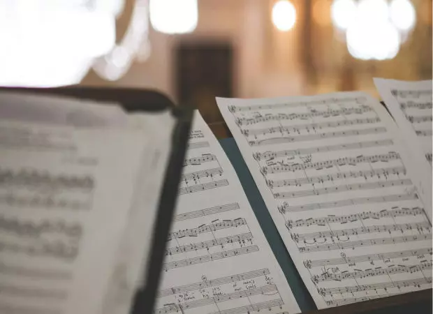 program-preview